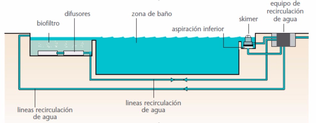 Imagen Galería 1